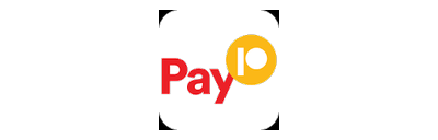 Pay10 logo