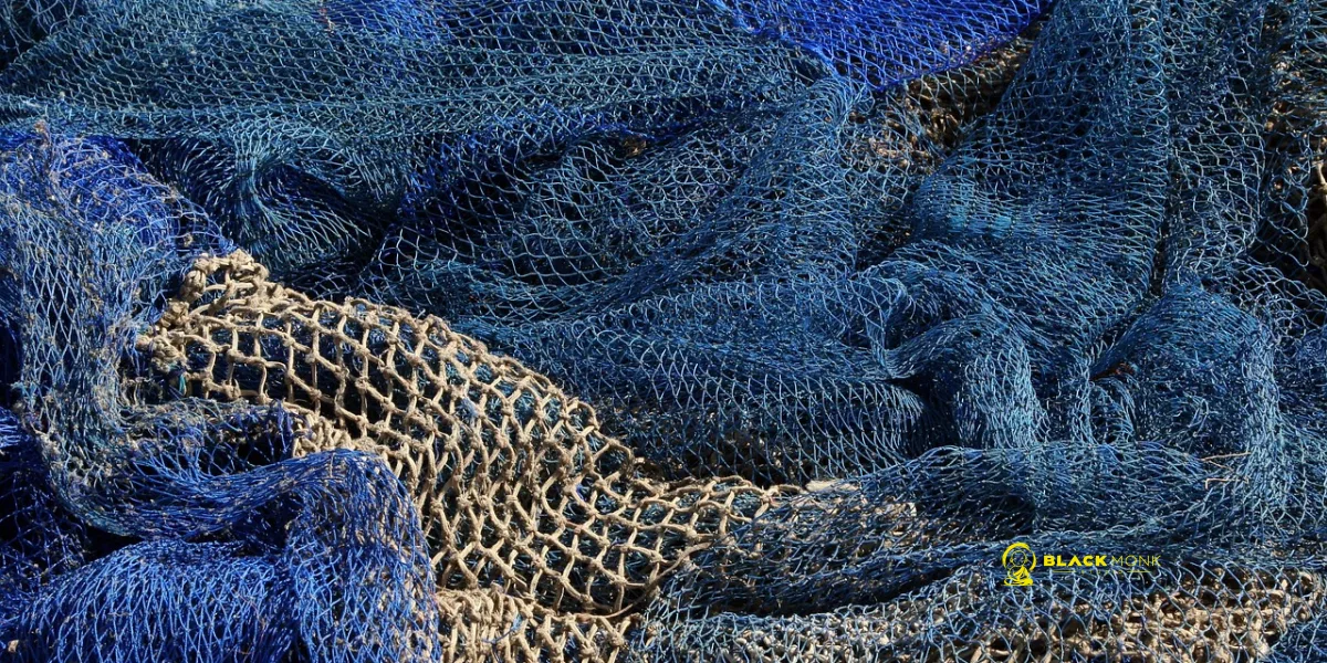 Email Marketing For Fisheries: A Practical Guide to Buyers and Suppliers