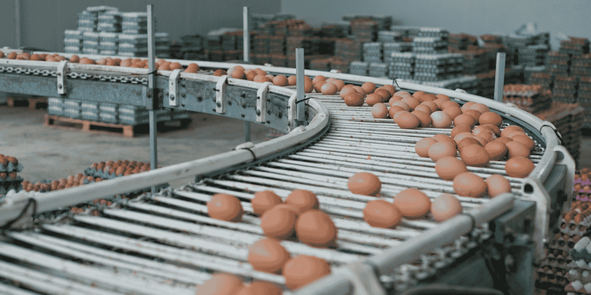 SEO for Food Manufacturing